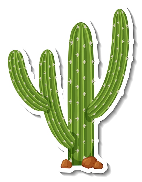 Stylized Saguaro Cactus Illustration - Free Download & Usage