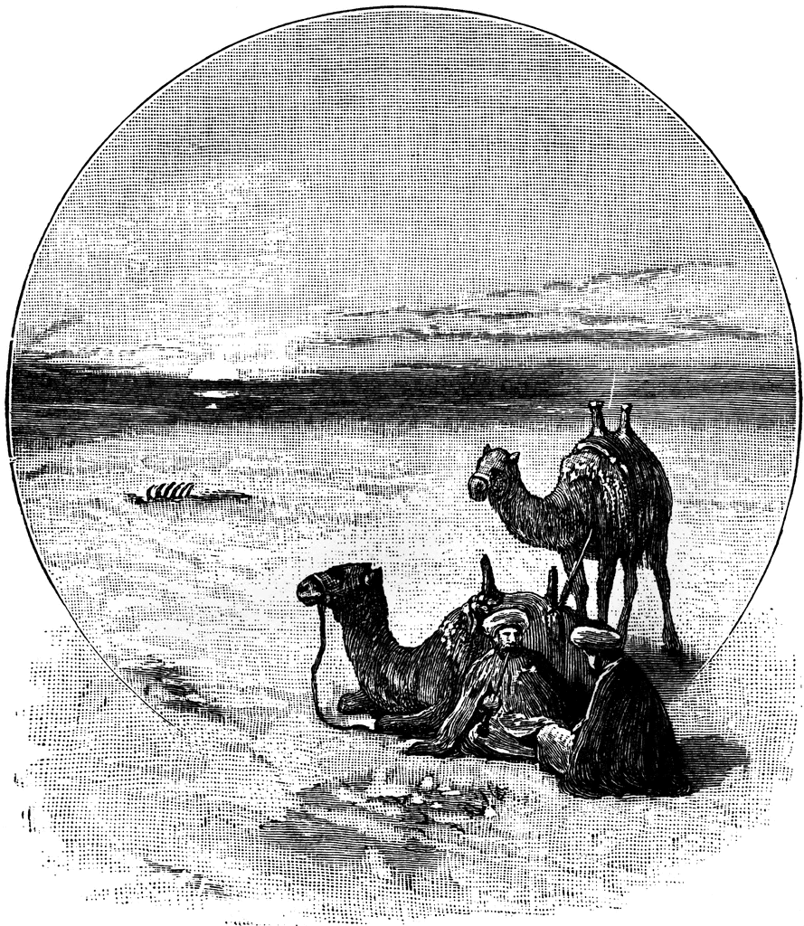 Desert scene with two camels and travelers resting near skeletal remains under a vast sky.