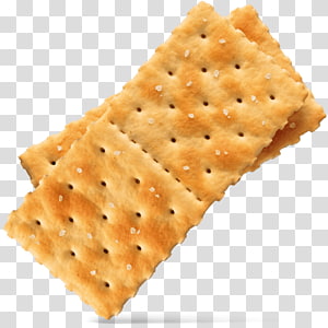 Two golden-brown saltine crackers with perforations and coarse salt, overlapping on a transparent background.