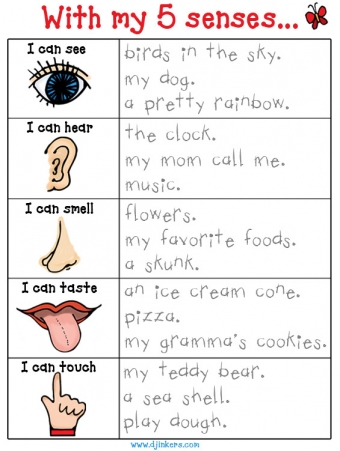 Educational worksheet showing five human senses with examples and icons for sight, hearing, smell, taste, and touch.