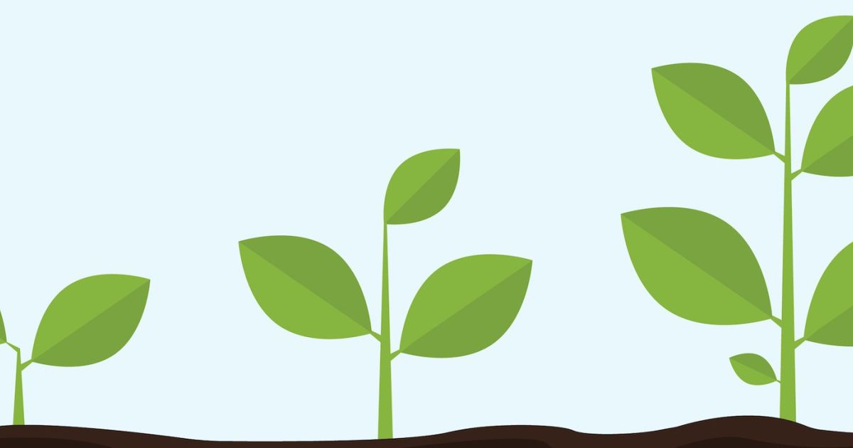 Three green seedlings growing progressively taller from soil against a light blue background, symbolizing growth and development.