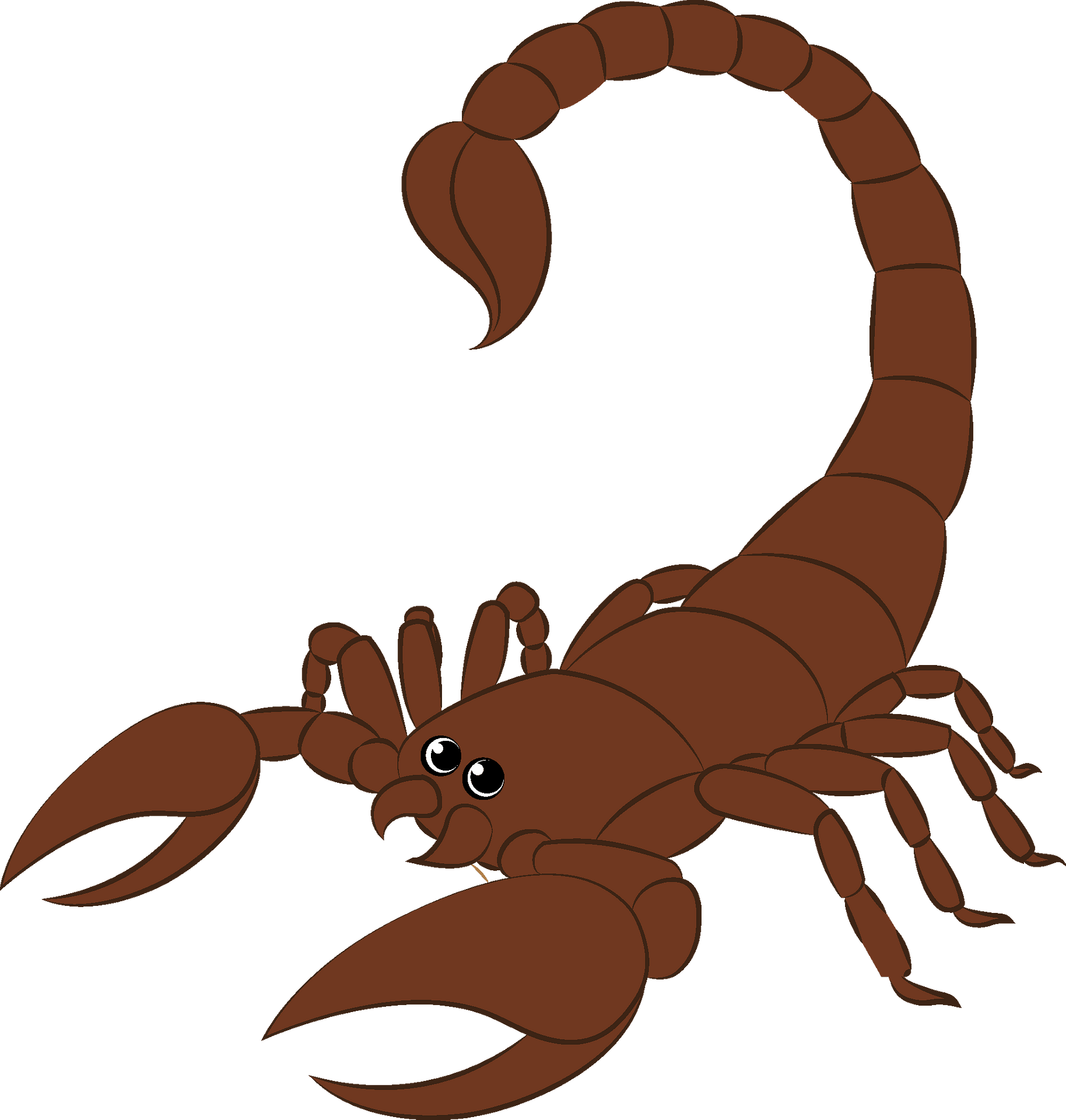Scorpion clipart. Free download transparent .PNG Clipart Library - Clip ...