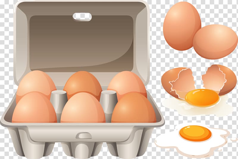 Carton of six brown eggs, loose eggs, cracked egg with yolk, and fried egg on transparent background.