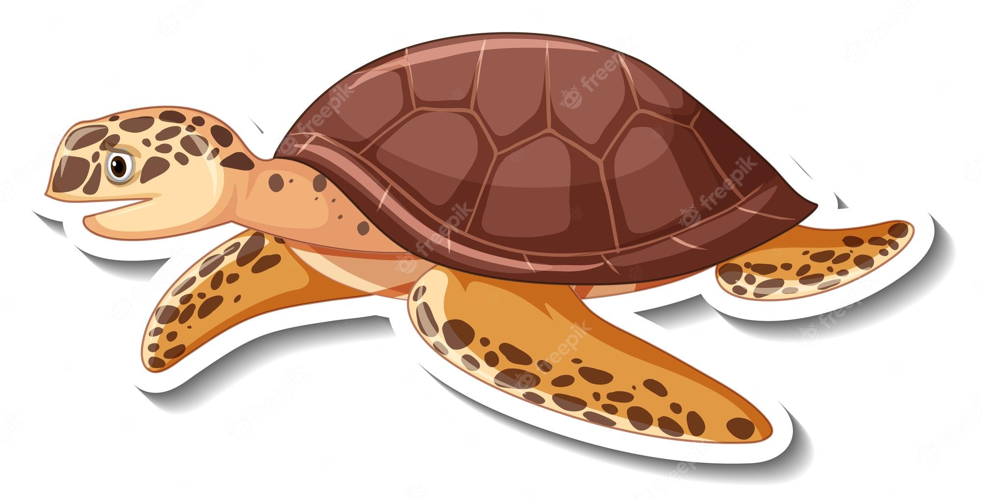 Sea Turtle clipart, Sea Turtle Sublimation designs, Turtle watercolor ...