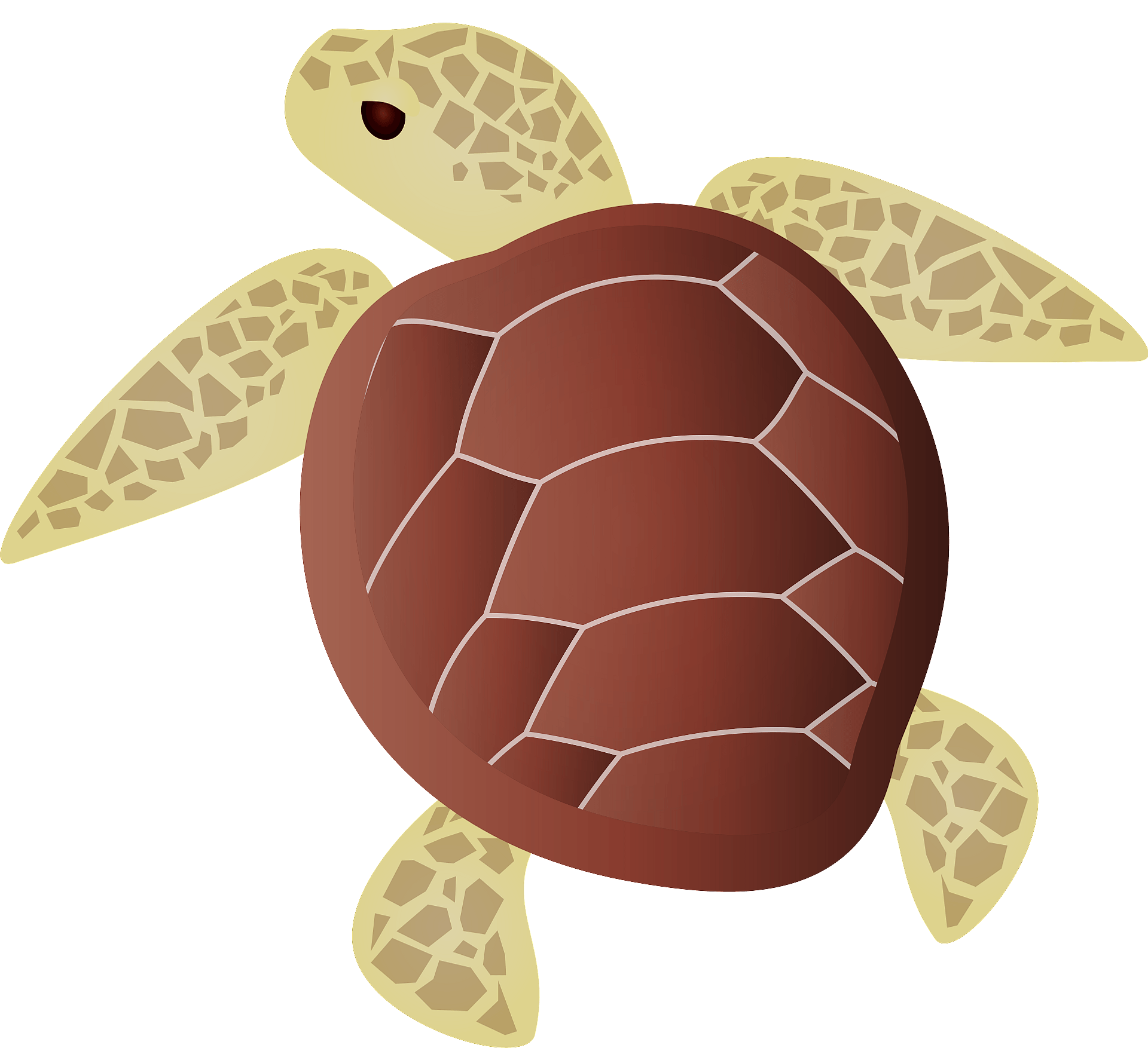 3-707-sea-turtle-clip-art-images-stock-photos-vectors-clip-art-library