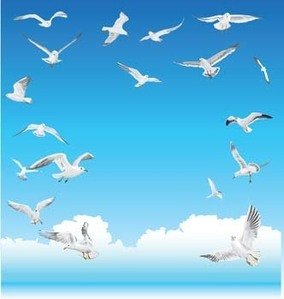 A flock of white seagulls soaring gracefully against a bright blue sky with soft white clouds.