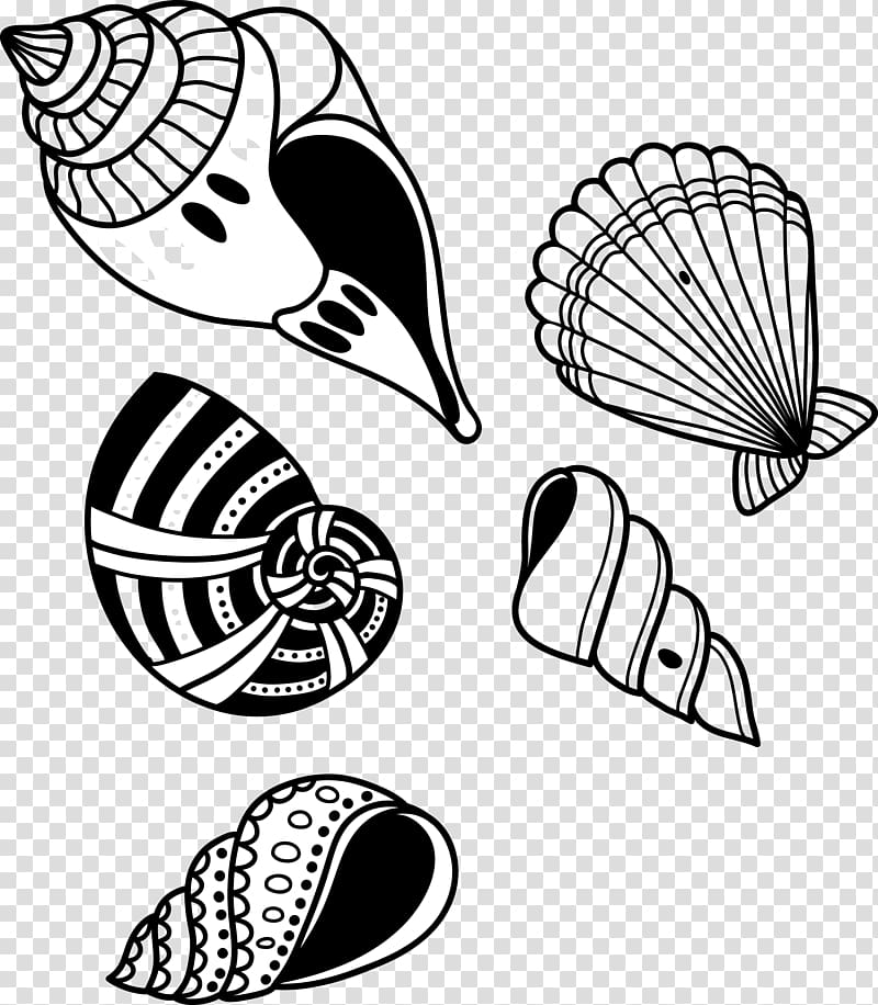 Conch Shell Svg, Shell Png, Sea Shell Clipart, Conch Shell Dxf, Conch ...