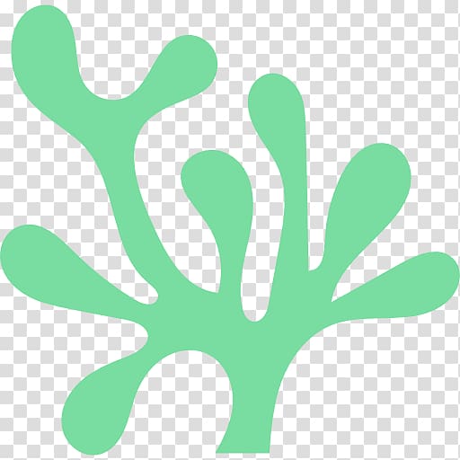 Algae Camera Clipart - Clip Art Library