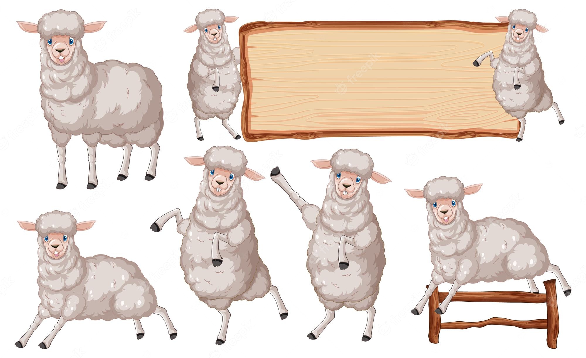 Black Sheep Herd Blog Sheep Transparent Background Png Clipart Clip Art Library