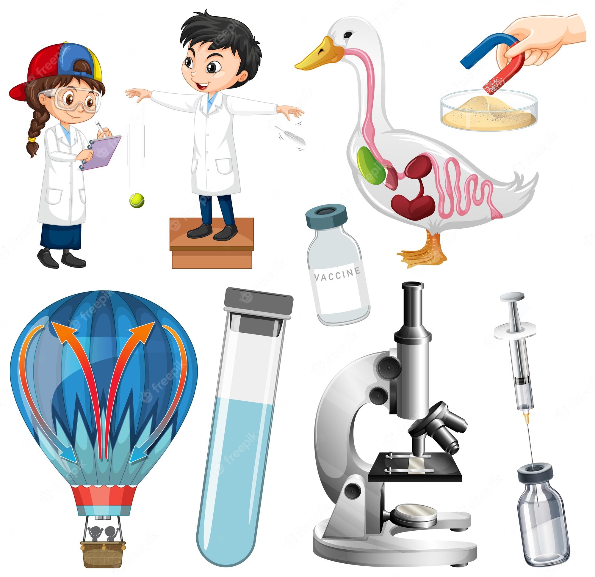 Science Education Illustration For Kids Lab Tools Anatomy Science Education Illustration For Kids Lab Tools Anatomy