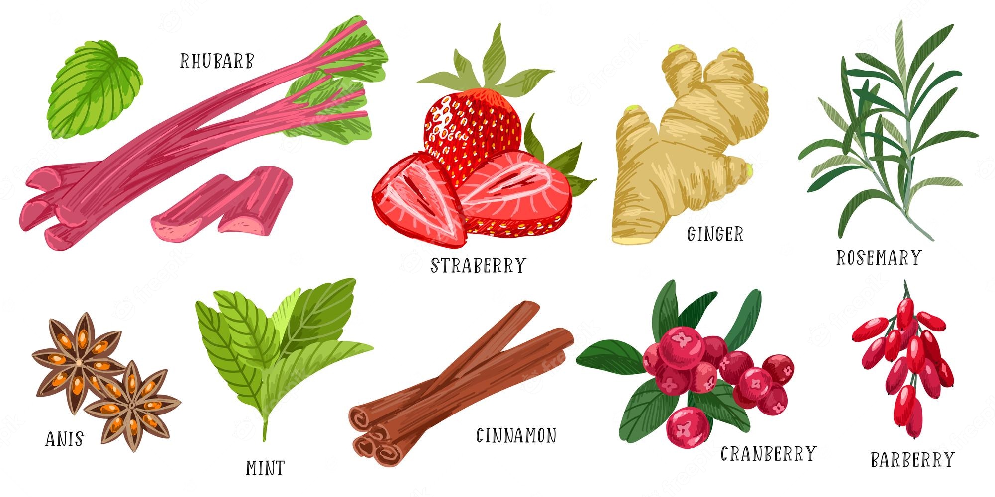 10 Popular Herbs & Fruits for Cooking, Tea, and Natural Remedies