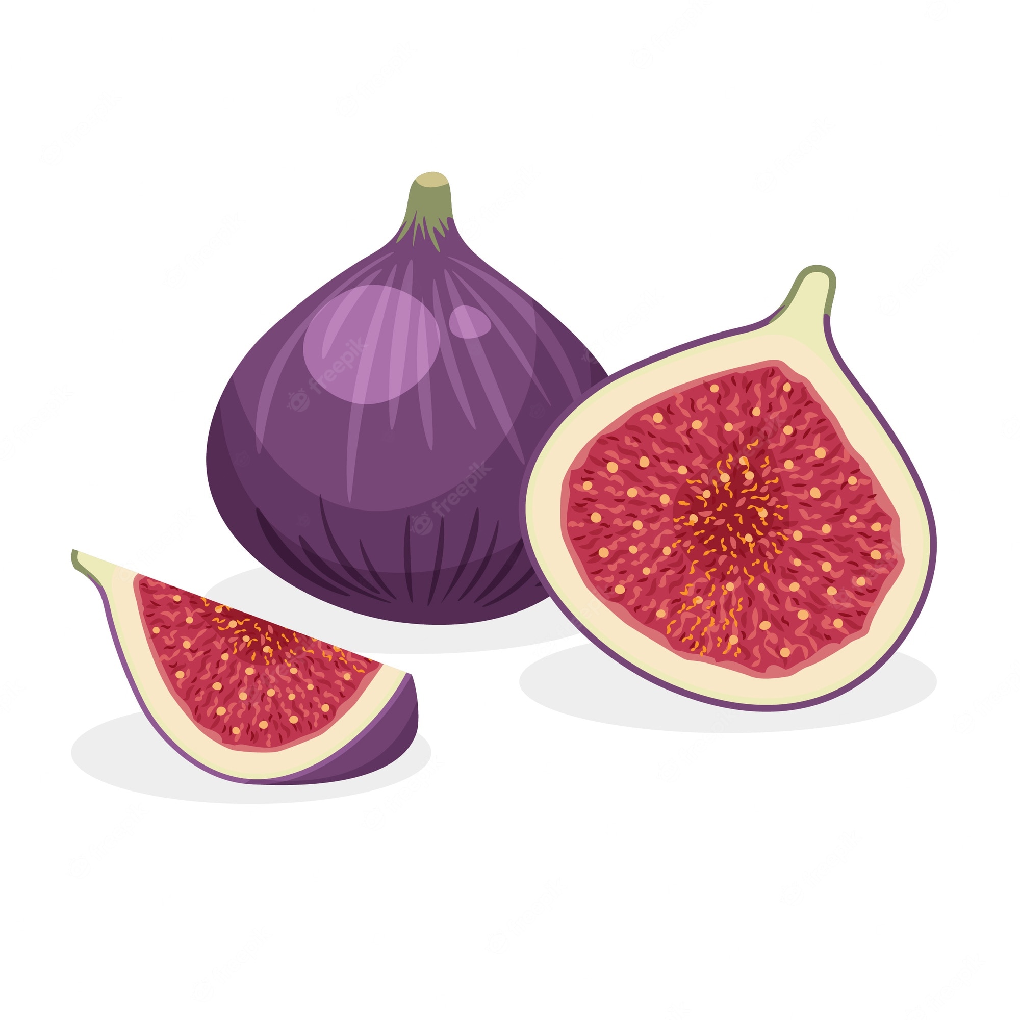 Fig Cartoons Clip Art Library