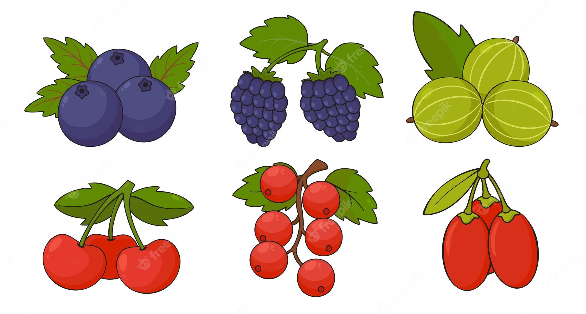 free-fall-berries-cliparts-download-free-fall-berries-cliparts-clip