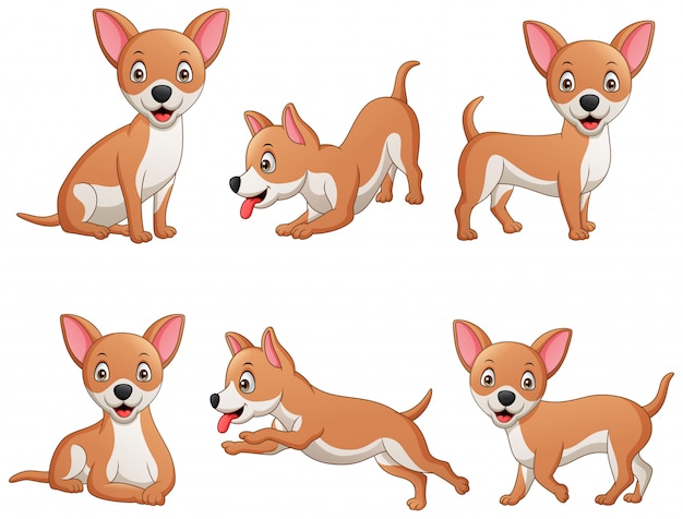 Six cartoon Chihuahua poses-sitting, stretching, standing, and running-on white background.
