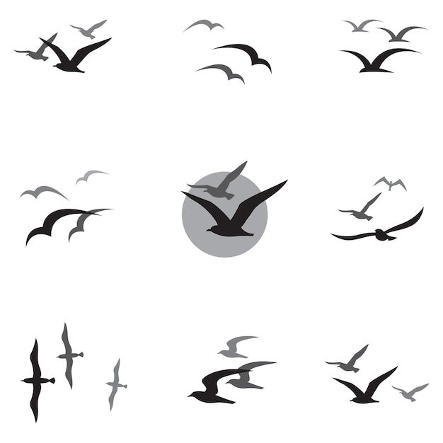 Collection of black-and-white vector silhouettes showing seagulls in various flight poses and group formations.