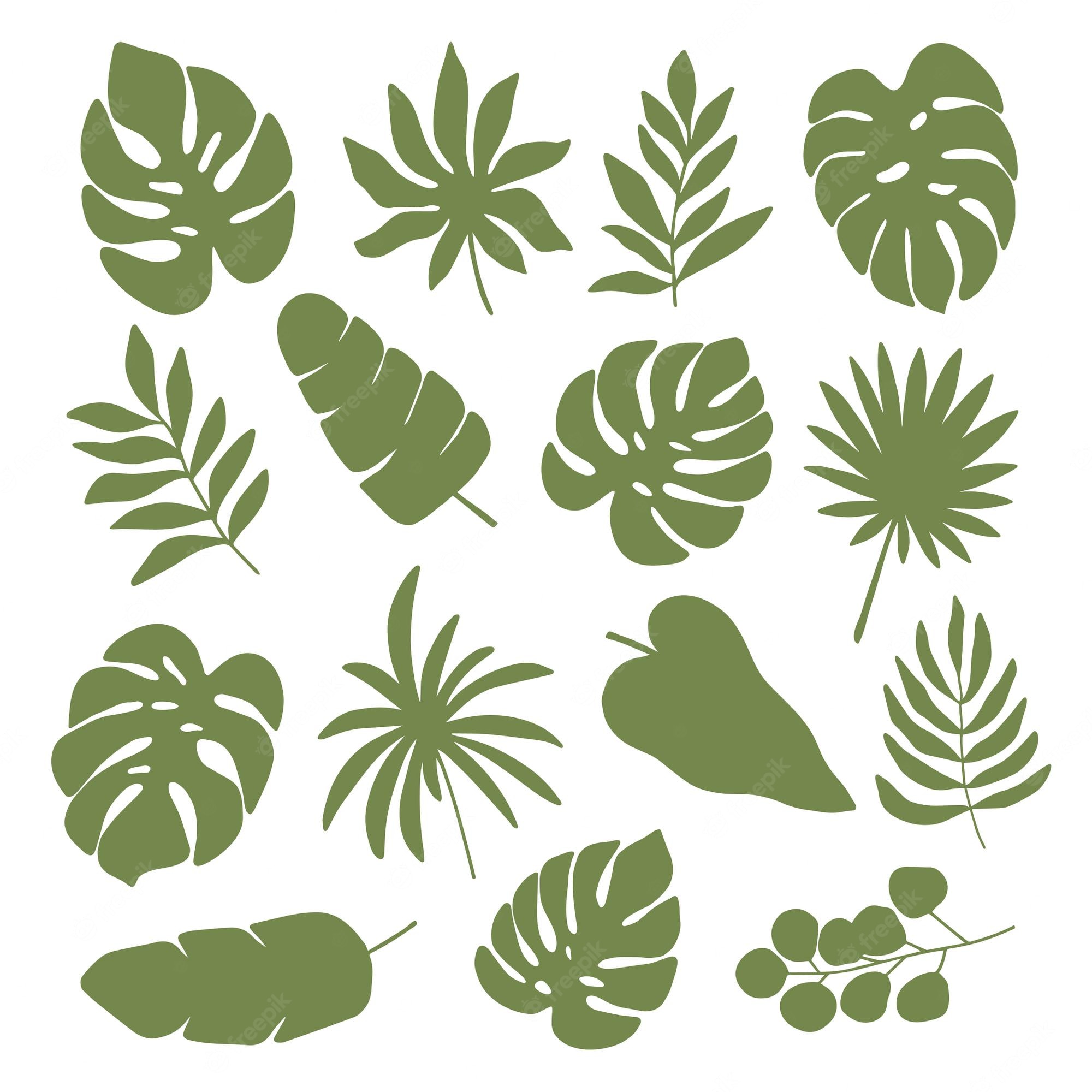 Tropical Plants PNG, Vector, PSD, and Clipart With Transparent - Clip ...