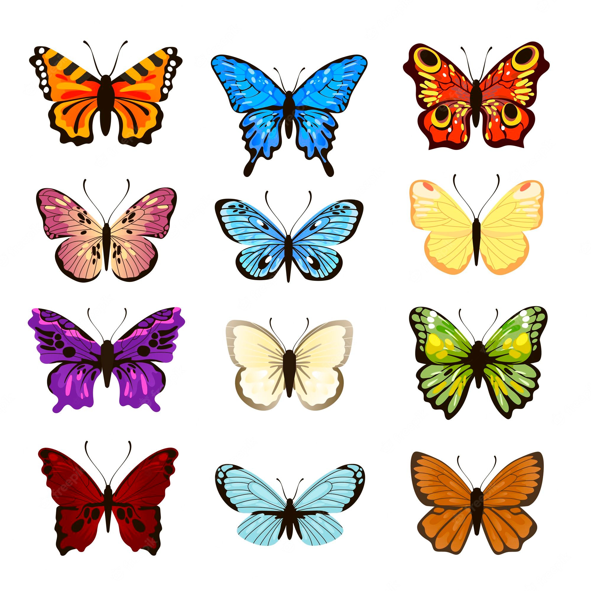 Set yourself free, beautiful butterfly clipart image, positive