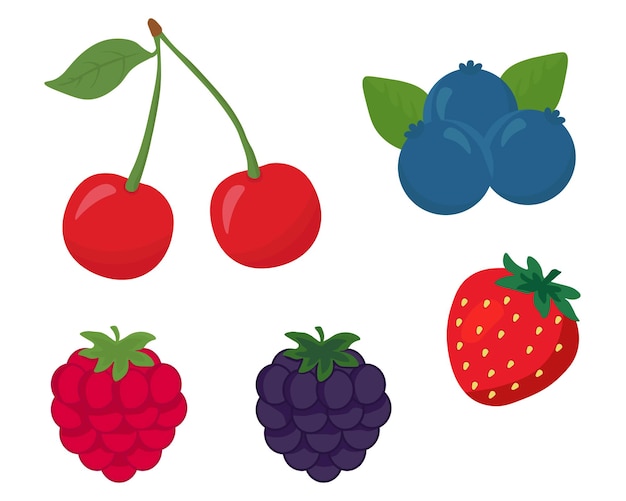 Illustration of five colorful berries: cherries, blueberries, strawberry, raspberry, and blackberry with green leaves.