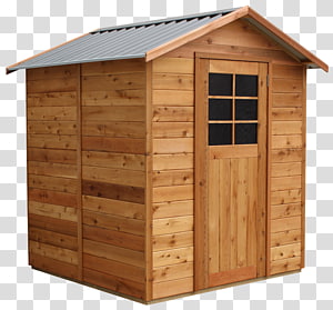 Wooden garden shed with gabled metal roof, paneled walls, and glass-paneled door.