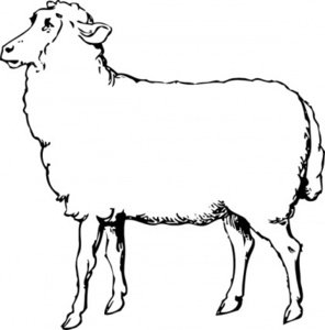 Black-and-white line drawing of a standing sheep in profile, facing left, with woolly body and alert expression.