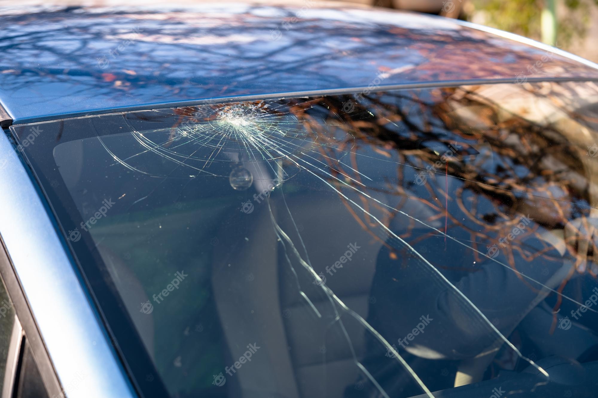 Shattered car windshield with starburst crack pattern, reflecting tree branches and sunlight on a blue vehicle.