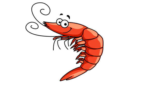 170+ Heart Shaped Shrimp Illustrations, Royalty-Free Vector - Clip Art ...