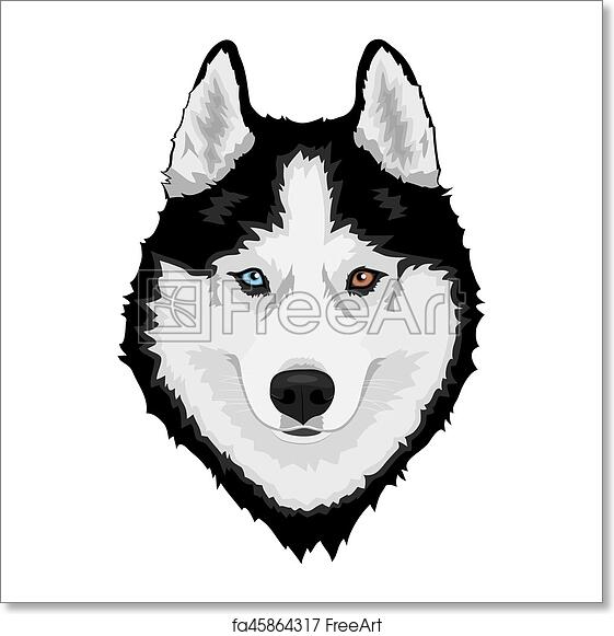 Siberian Husky head illustration with heterochromia-blue and amber eyes-black and white fur, stylized vector art.