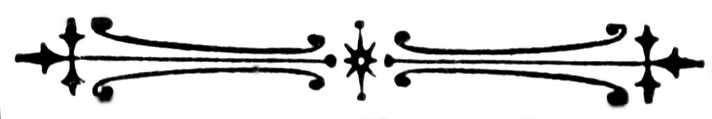 Black ornamental divider with symmetrical flourishes and central starburst motif on white background.