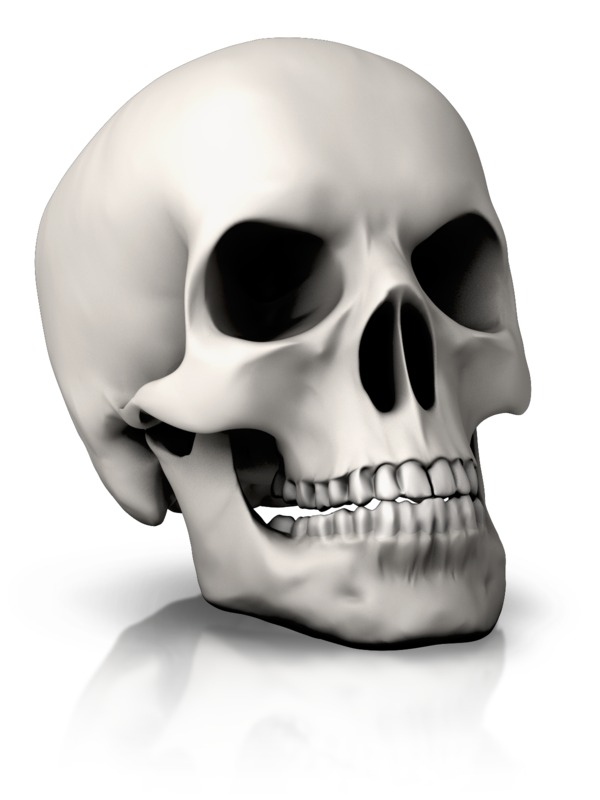 Realistic 3D human skull with visible teeth and eye sockets on white background, casting soft shadow.