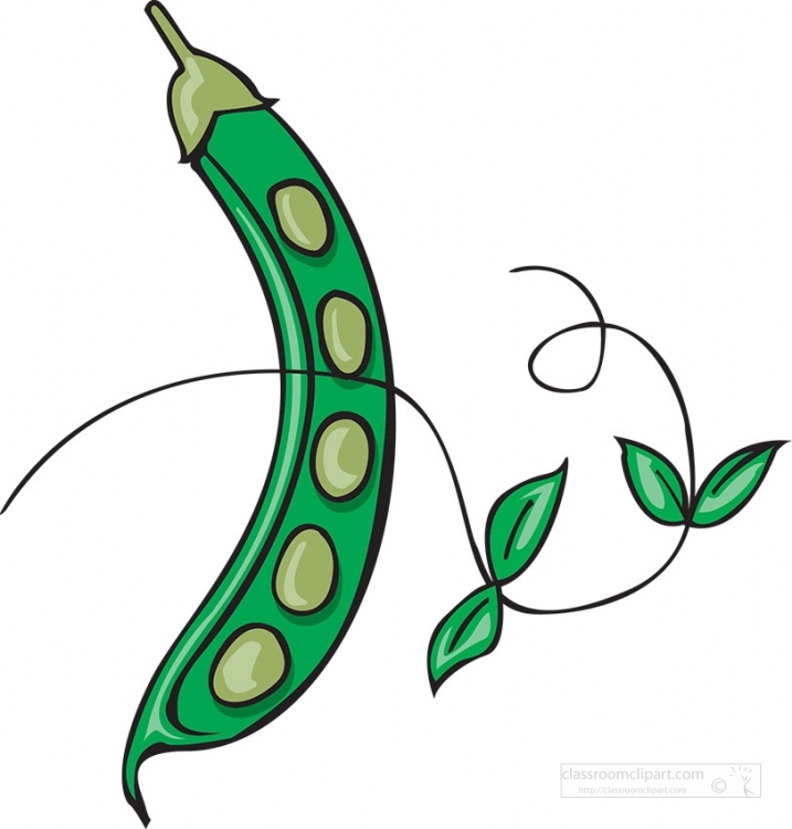 Pea Pod Clip Art (114762) Free Svg Download   4 Vector - Clip Art Library