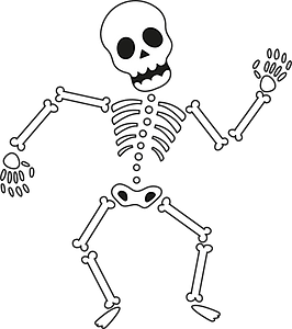 The human skeleton Dance Bone, human bones transparent background ...