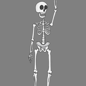 Cartoon-style human skeleton standing upright, one arm raised, against gray background.
