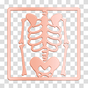 Pink skeletal anatomy illustration within a square frame on transparent background.
