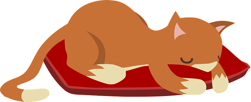 A peaceful orange tabby cat sleeping curled up on a red cushion with closed eyes and relaxed paws.