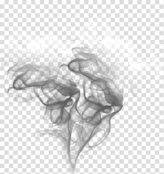Abstract grayscale smoke plume rising against transparent background, soft wisps and swirling tendrils.