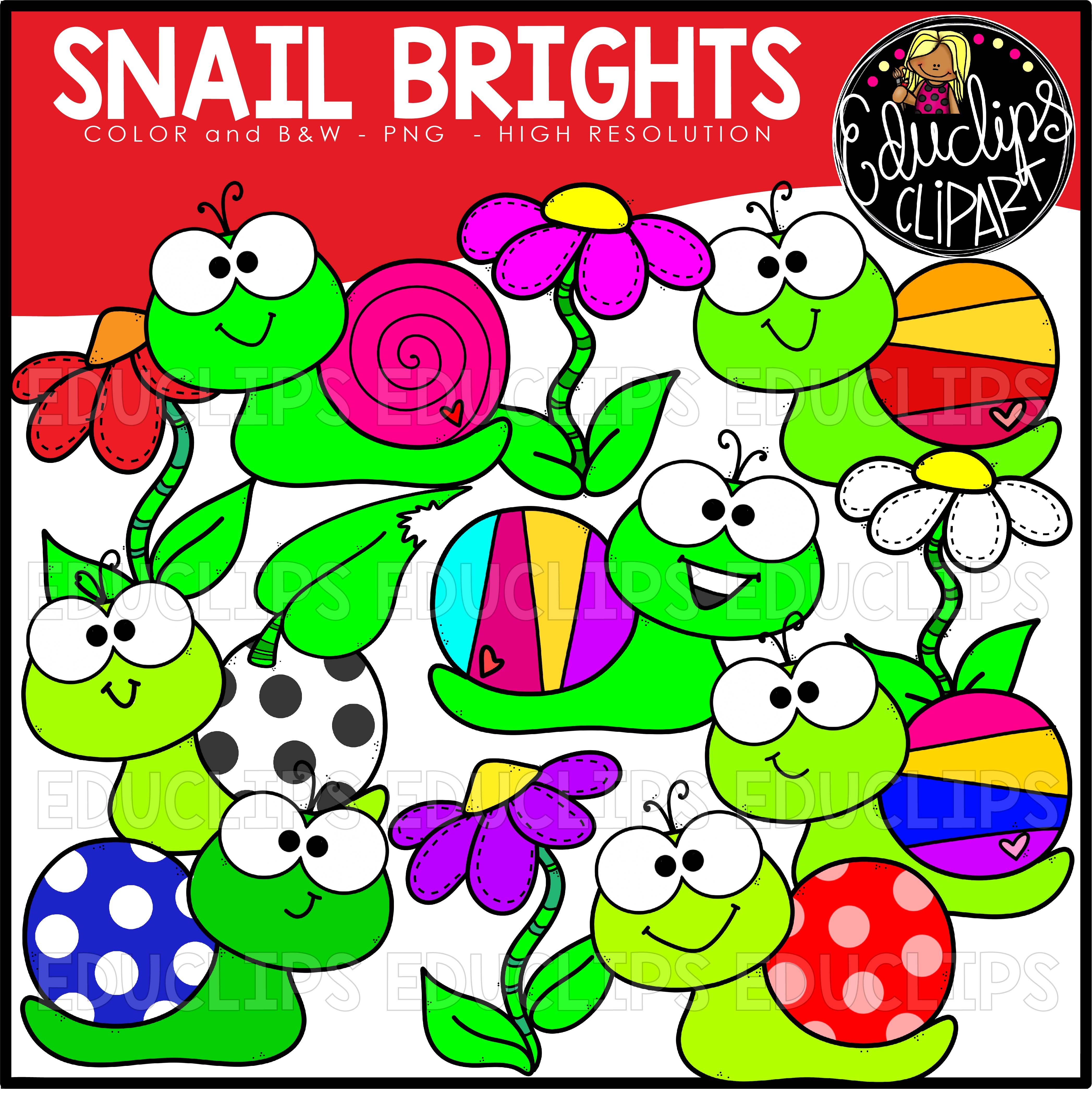 Colorful cartoon snails with smiling faces, patterned shells (polka dots, stripes, spirals), and flower accents-educational clip art.