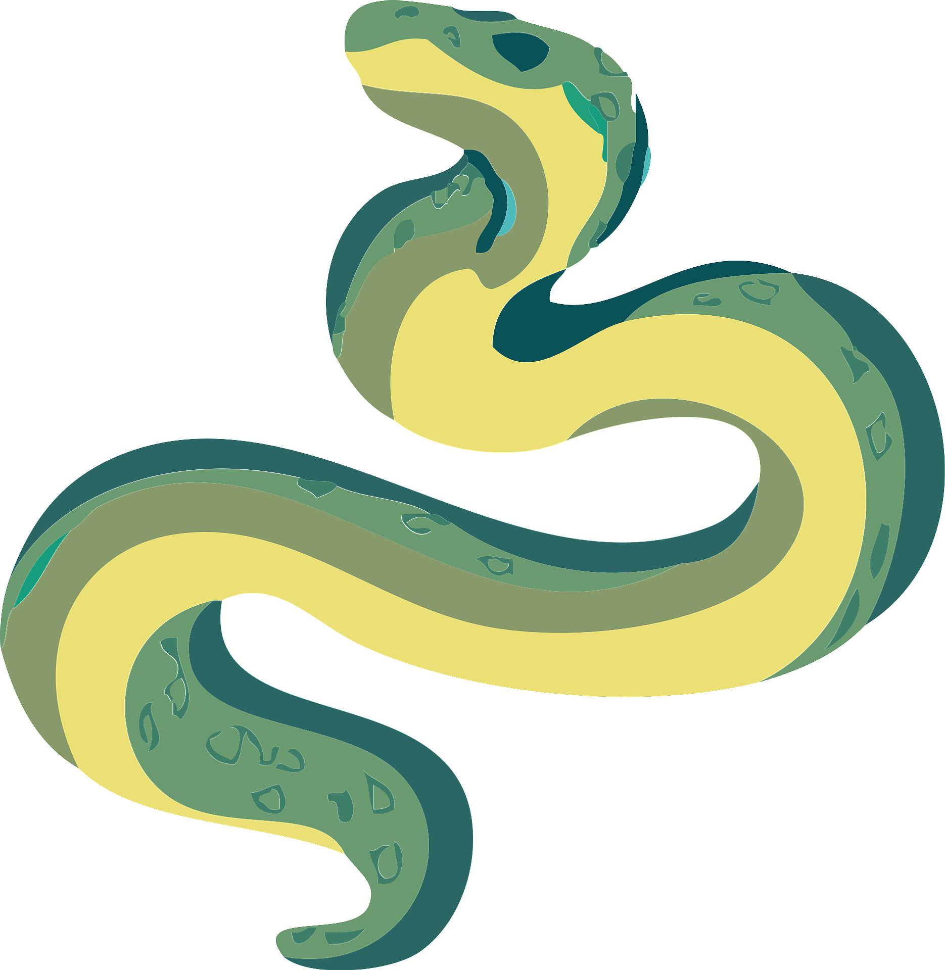 realistic snakes - Clip Art Library