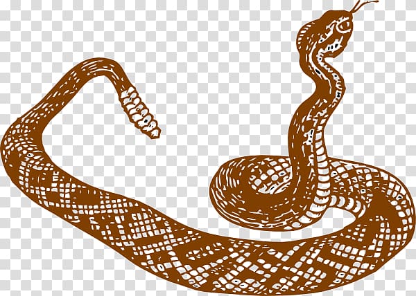 Illustration of a coiled rattlesnake with raised head and visible rattle, rendered in brown line art on transparent background.