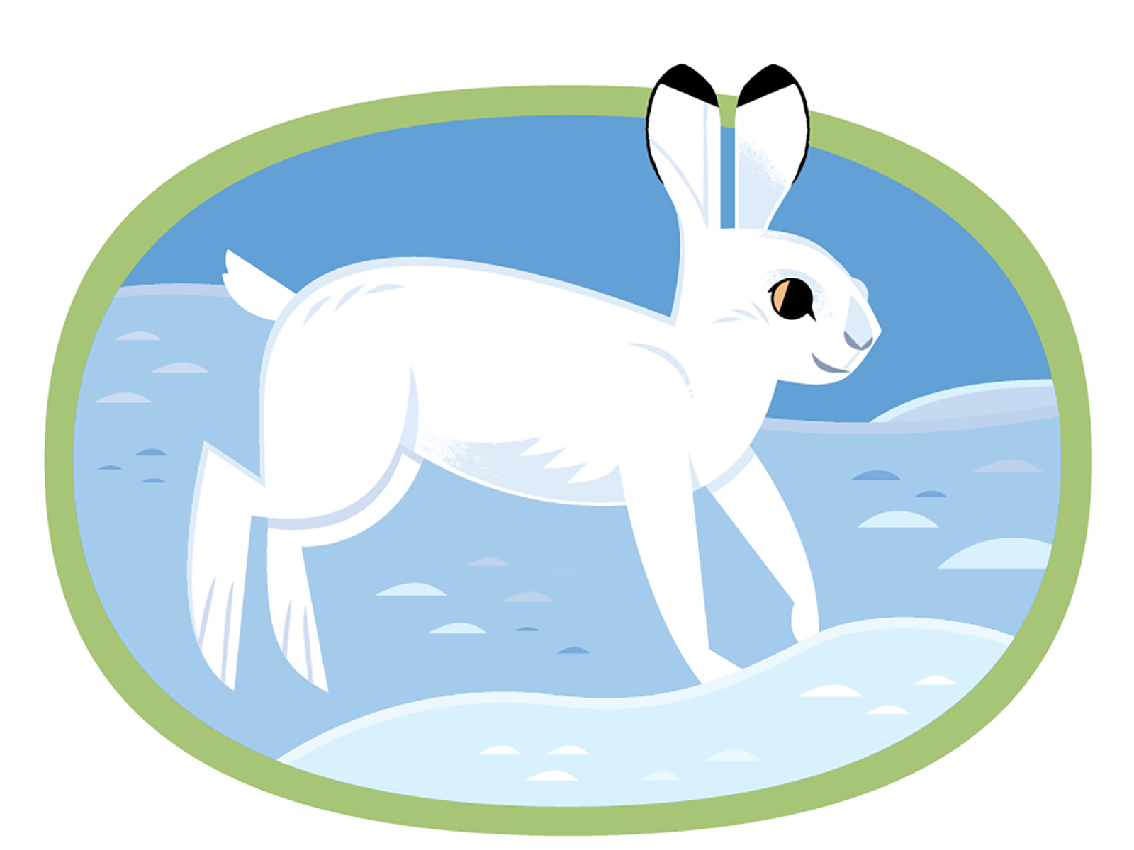 snowshoe hares - Clip Art Library