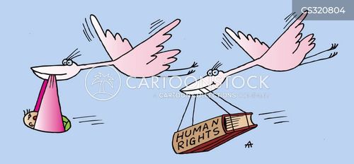 Stork Cartoon: Human Rights vs. Birth Delivery - Symbolic Political Commentary