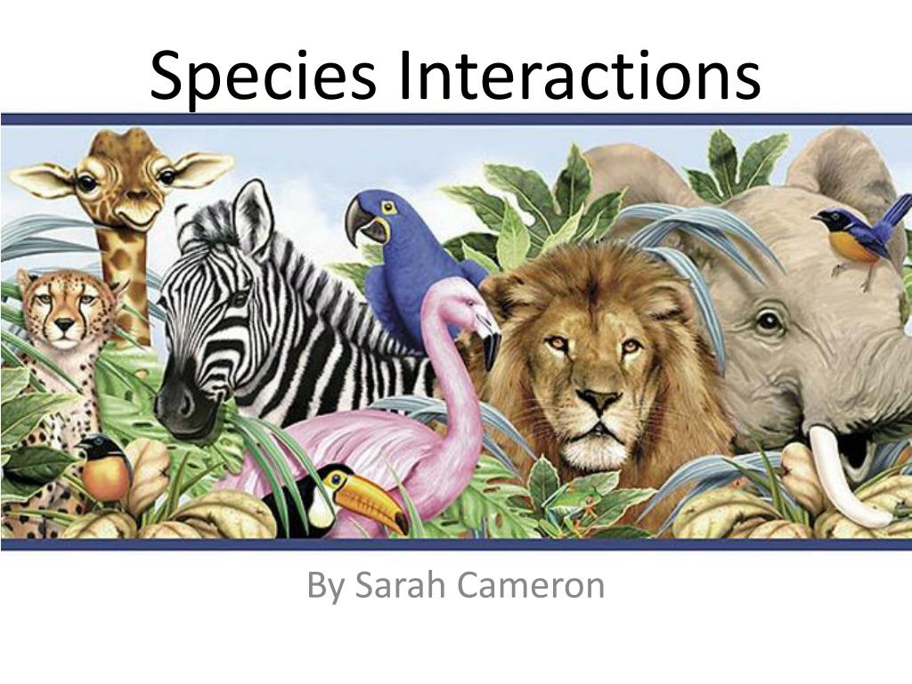 free-species-interactions-download-free-species-interactions-png