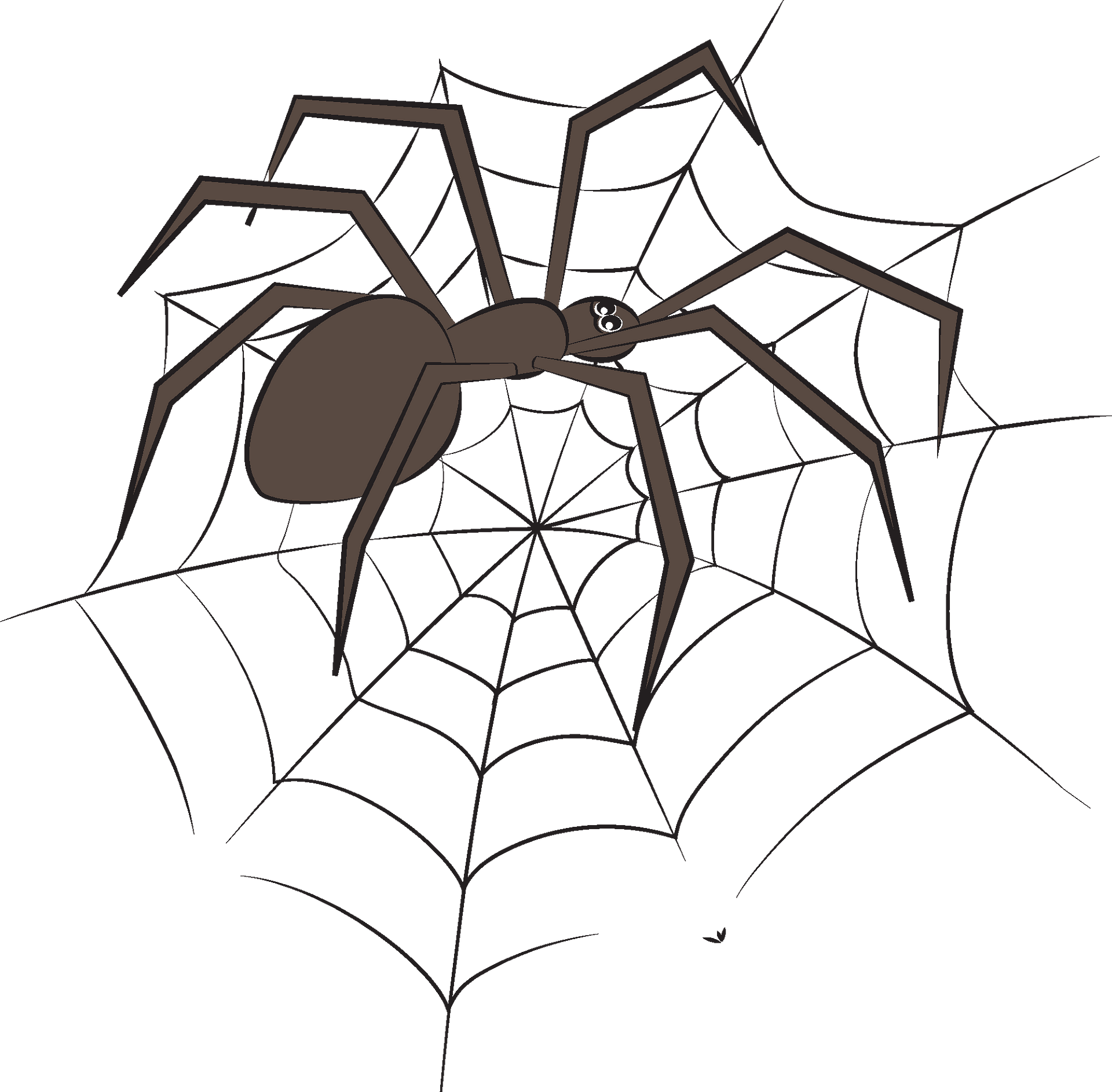 Spider, Silhouette, Halloween, Insect - Spooky Halloween Spiders - Clip ...