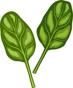 Two vibrant green spinach leaves with detailed vein patterns on a dark green background.