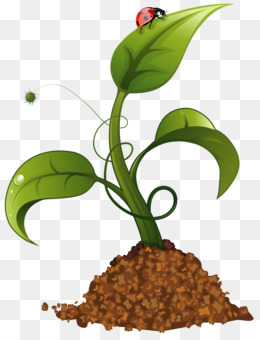 A vibrant green seedling sprouting from soil with a red ladybug on its top leaf and a small flying insect nearby.