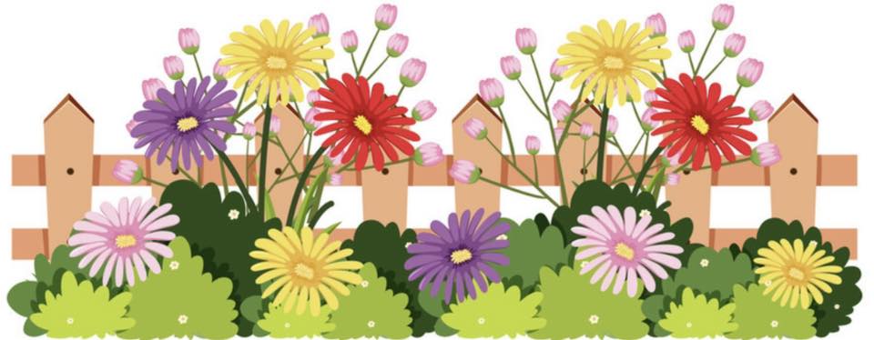 Colorful daisies and purple asters bloom behind a rustic wooden picket fence in a cheerful garden scene.