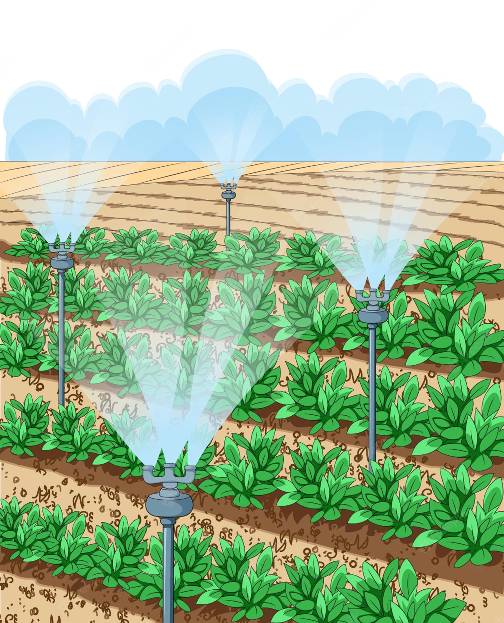 4-800-farm-irrigation-illustrations-royalty-free-vector-graphics