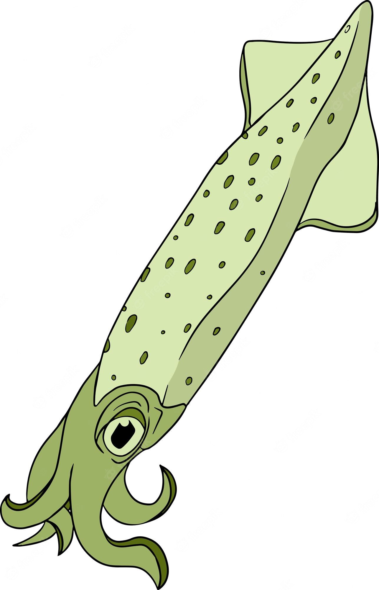 Green cartoon squid with spotted body, large eye, and curled tentacles on white background.