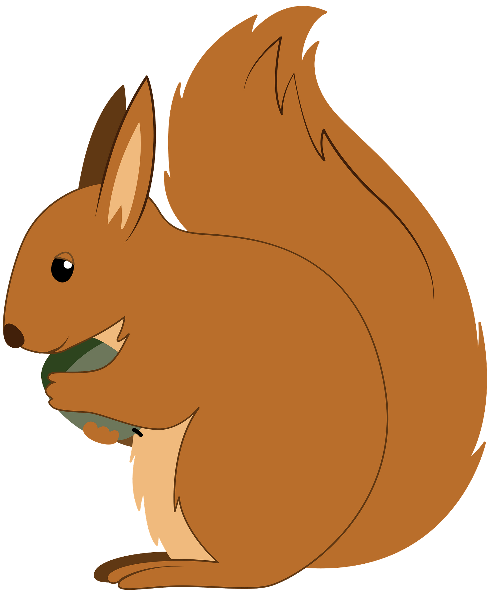 Squirrel clipart, Cute squirrel, Cartoons png - Clip Art Library