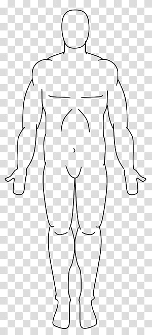 Outline sketch of a male human body in standing pose, front view, with anatomical proportions.