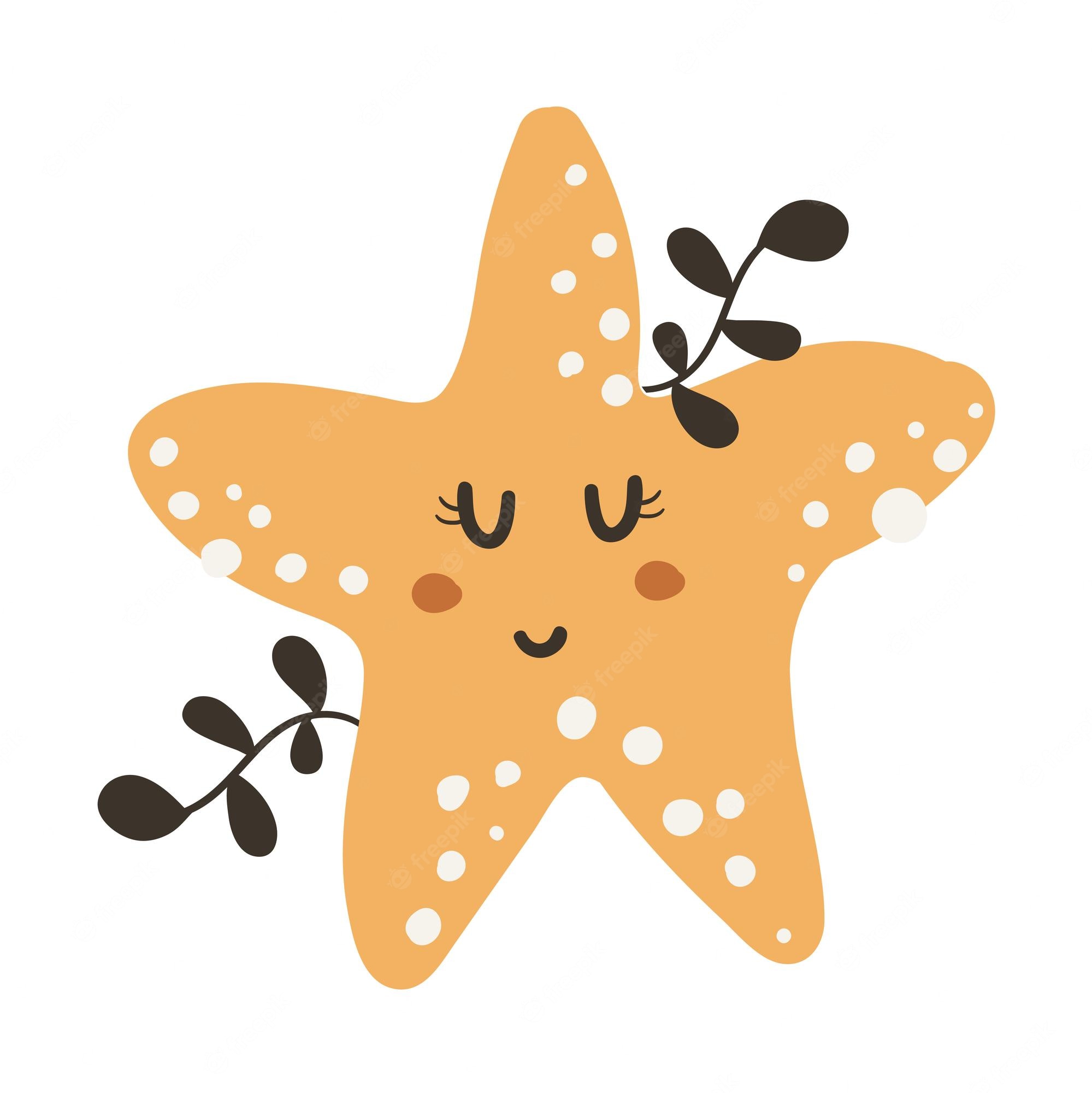 Free Starfish Cliparts, Download Free Starfish Cliparts png images ...